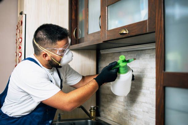 Best Commercial Pest Control Services  in Red Bank, TN