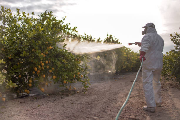 Best Local Pest Control Services  in Red Bank, TN