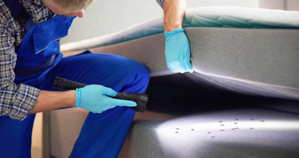 Best Wasp Removal Services  in Red Bank, TN